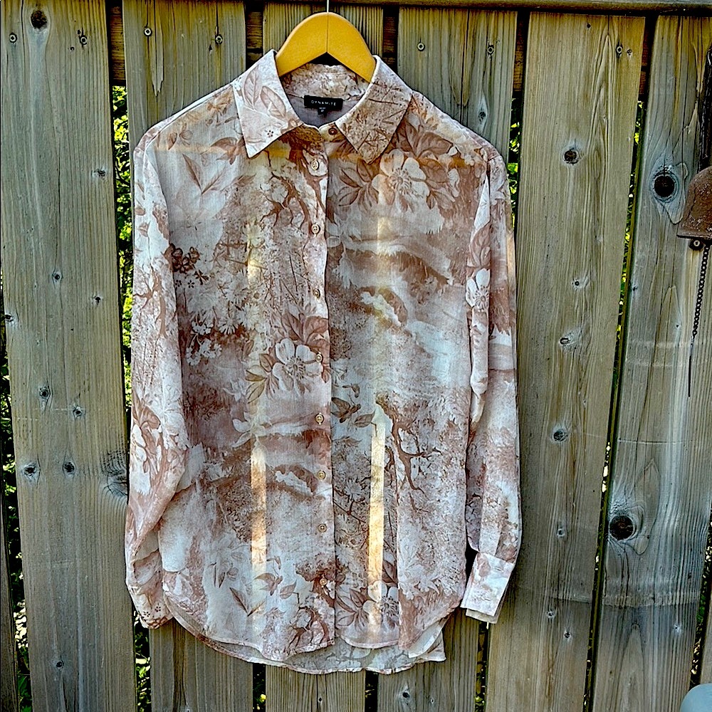 Dynamite Sheer Button Down Shirt
